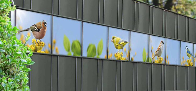 PVC Kreativ Sichtschutzstreifen - Motiv Bird Life